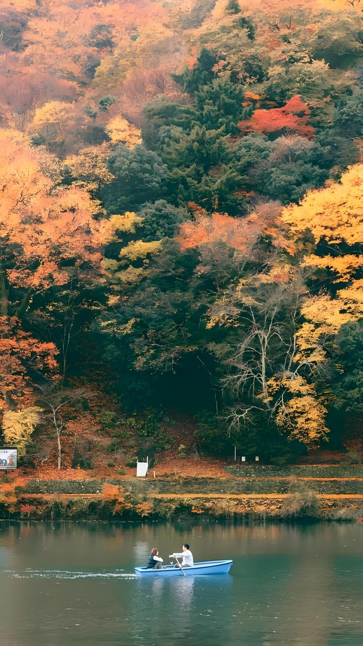 合作伙伴1
